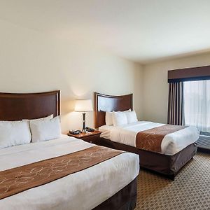 Queen Suite